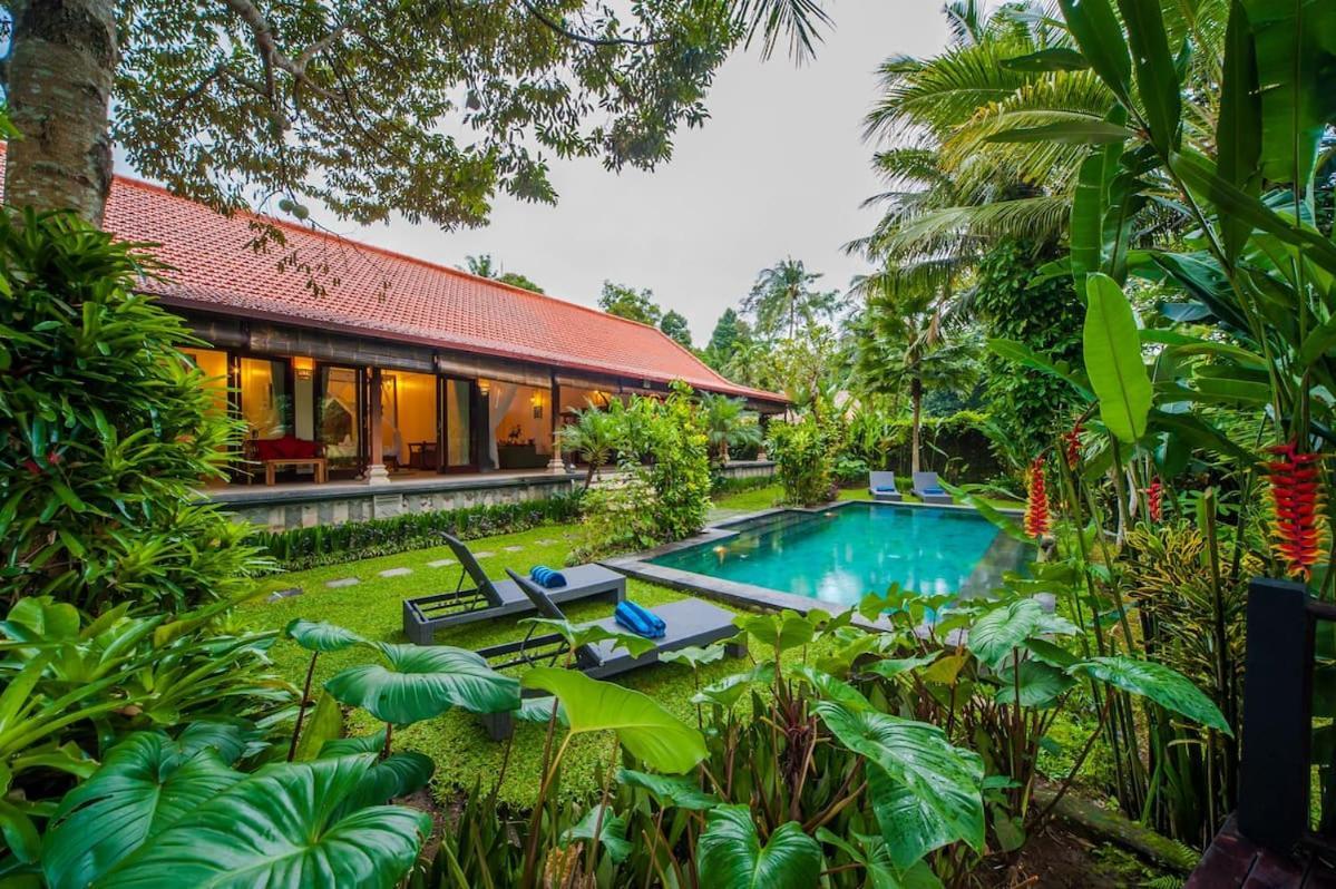 Luxury 3Br Infinity Jungle View Aashaya Villa Ubud Екстер'єр фото