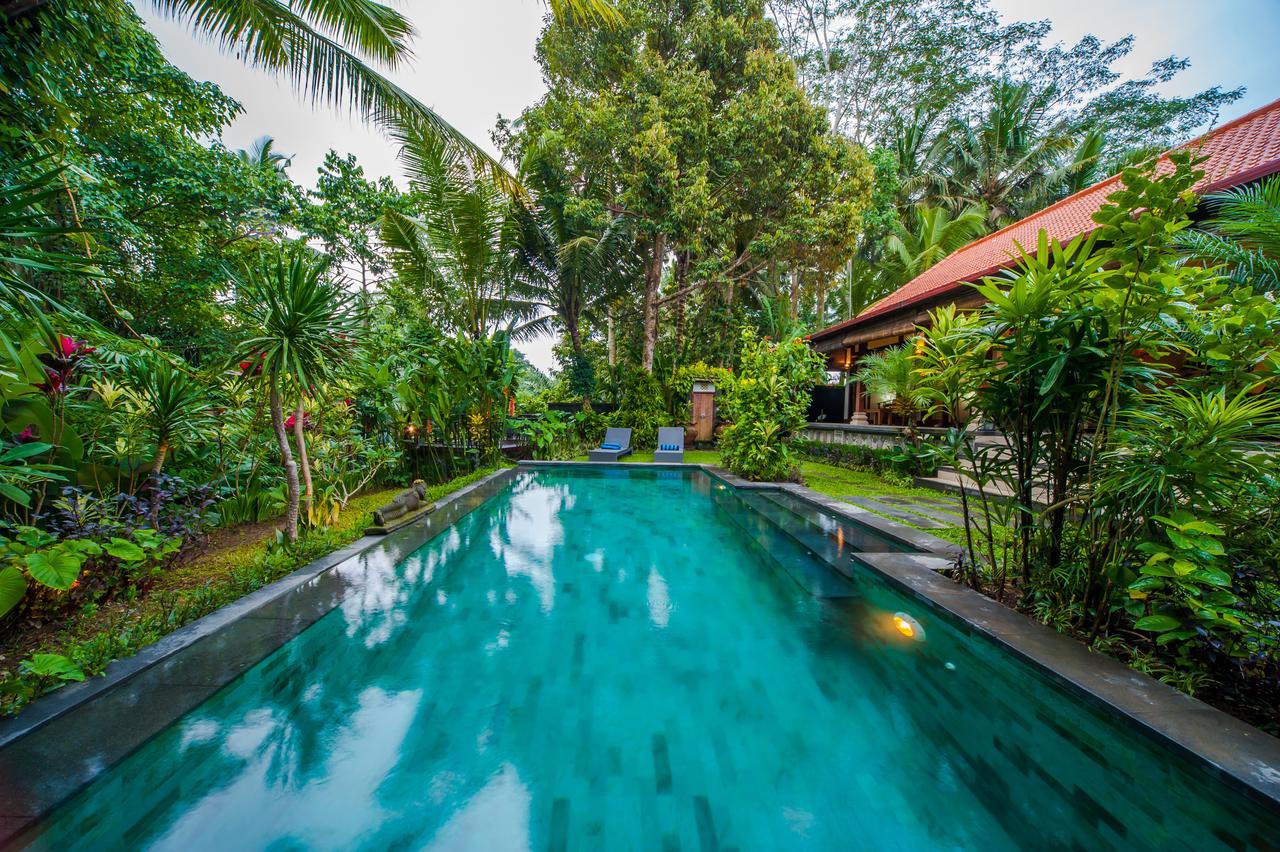 Luxury 3Br Infinity Jungle View Aashaya Villa Ubud Екстер'єр фото